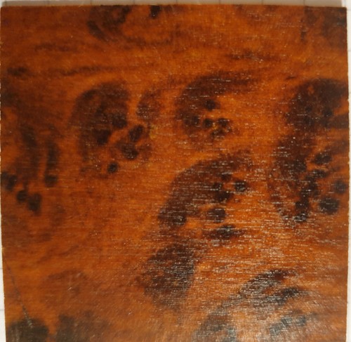Garbáty holzbild tarso - holzbild,