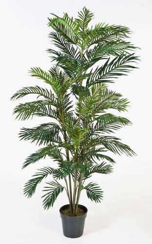 Artplants künstliche areca - artplants,