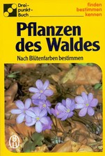 Pflanzen des Waldes. Nach Blütenfarben bestimmen