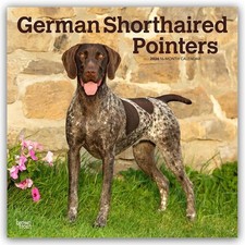 German Shorthaired Pointers - Deutsch Kurzhaar 2026 - 16-Monatskalender