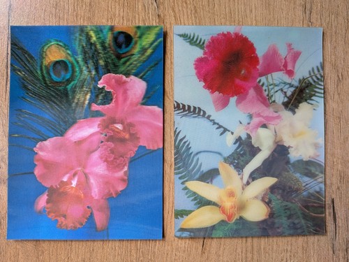 Ak orchideen 3d - orchideen,