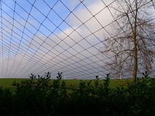 10x15 Geflügel Hühner Kücken Küken Vogel Fisch Laub Teich Pflanzen Schutznetz   