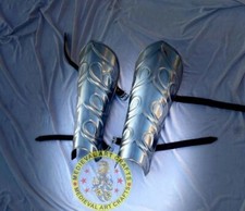 Centurion Beinschutz Schutz