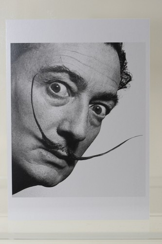 Salvador dali but don t - salvador, don't