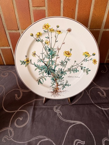 Speisenteller villeroy boch - speisenteller,