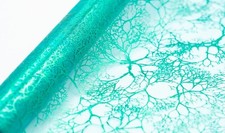Organza stoff rolle - organza,