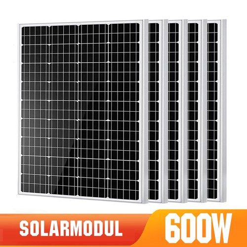 2025 neu 600w - 2025,