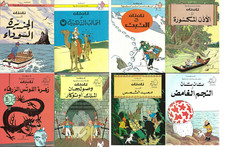 TINTIN Hergé 17 Bücher in