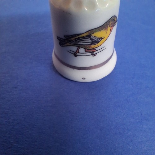 Alter porzellan fingerhut mit - alter,