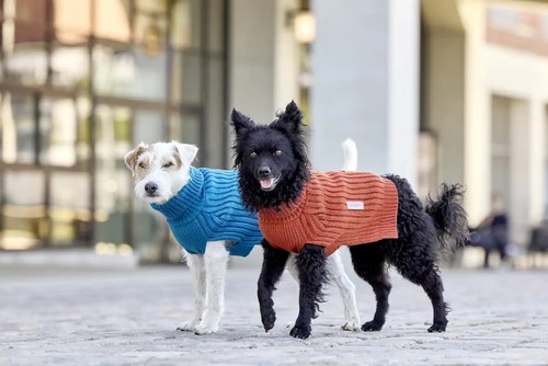 Wolters strickpullover ribsty - wolters,
