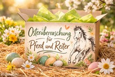 Überraschungsbox Pferd und