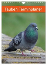 Tauben Terminplaner