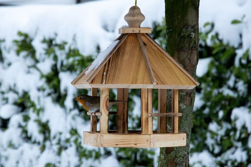 Geflammtes vogelhaus - geflammtes,