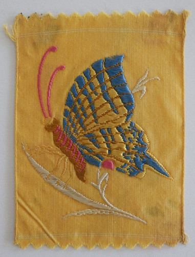 Probeprof schmetterling 1930 - schmetterling,