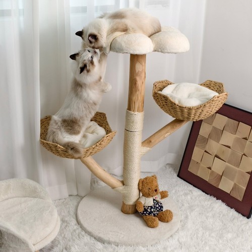 Kratzbaum xxl katzenbaum sisal - kratzbaum,