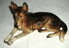 Schäferhund - liegende