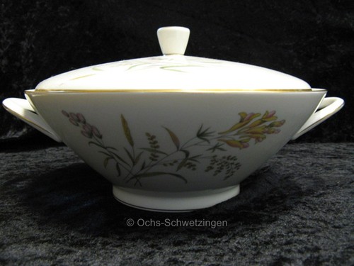 Rosenthal form bettina - bettina, dekor