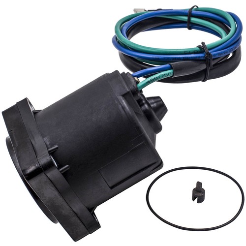 Power tilt trim - tilt,