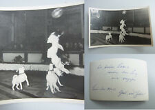 Varieté-Foto 1953: "DOXI'S SPORTHUNDE" - Hunde-Dressur, Zirkus Aeros, signiert