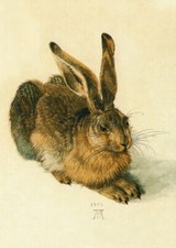 Kunstkarte albrecht dürer - kunstkarte,