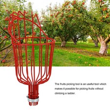 Garten gewächshaus - garten,