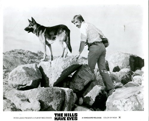 The hills have eyes 1 - hills,