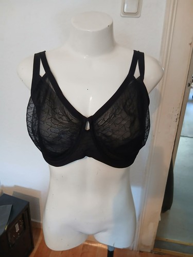 Triumph signature sheer - sheer, w01