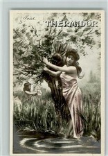 13102544 - Thermidor - AK