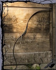 Mittelalter Larp - Ready for