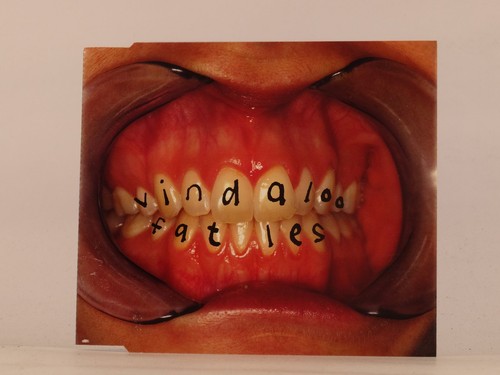 Fat les vindaloo - (e36), track