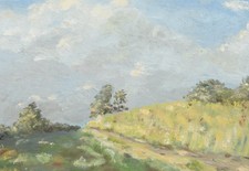 Sommerliche Landschaft |