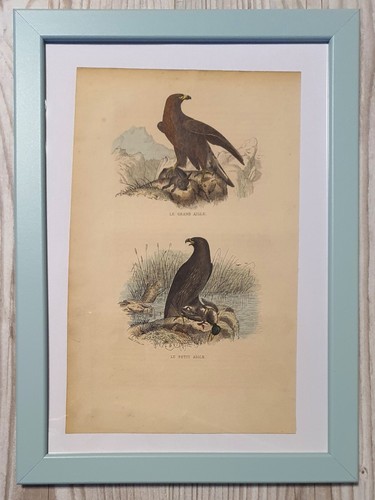 1852 lithographie kunstdruck - 1852,