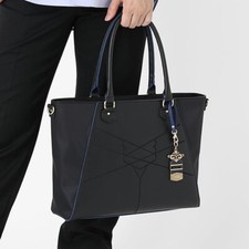 Fire emblem The Ashen Ashe