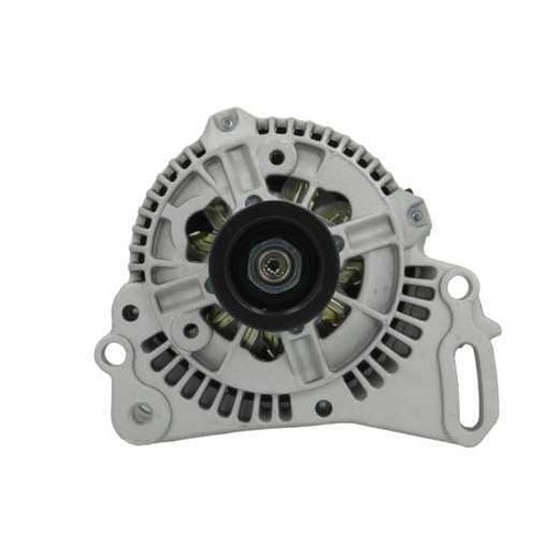 Lichtmaschine passt für