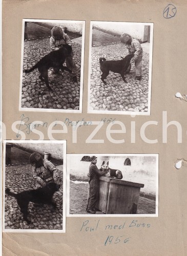 Original fotos militär - original, 1956