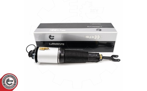 Audi federbein - d3,