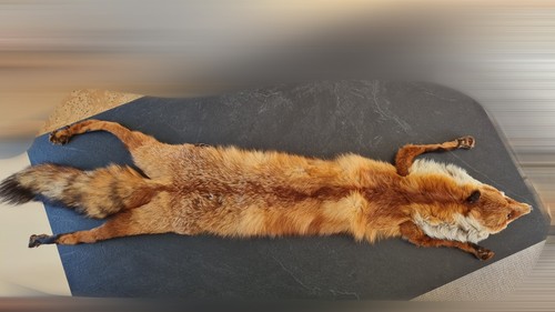 Fuchs pelzkragen echtpelz - fuchs,