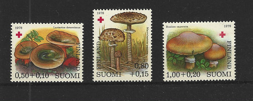 Pilze mushrooms funghi - mushrooms,