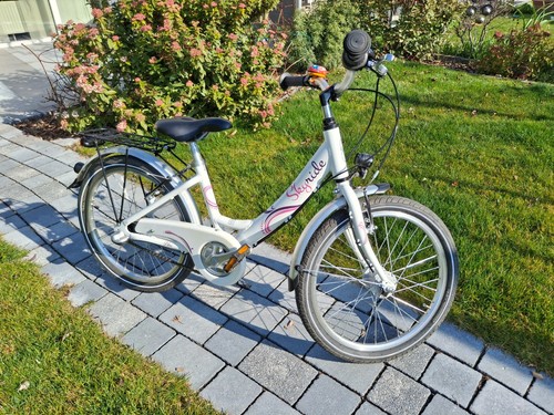 Kinderfahrrad puky skyride - skyride, 20