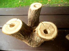 Baumstamm ,Aststück für Deko u Terrarien 22 cm lang  Flieder verzweigt