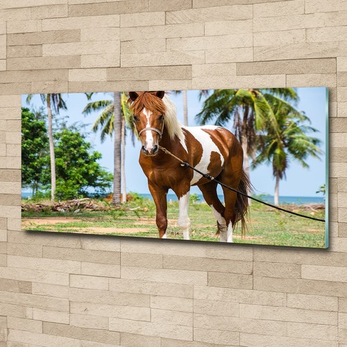 Wandbild aus plexiglas druck - wandbild,