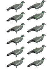 Beflockte tauben lockvogel - beflockte,