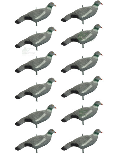 Beflockte tauben lockvogel - tauben,