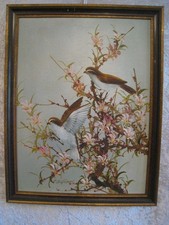 C. Jeffares Gemälde Vögel mit Kirschblüten signiert Öl auf Leinwand