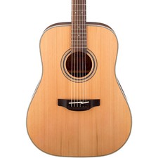Takamine G Series GD20