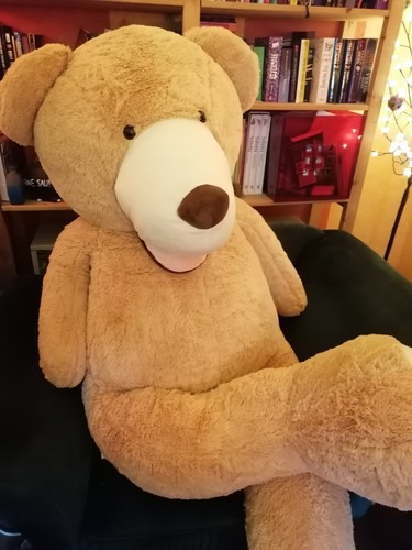 Teddybär kuschelbär xxl - teddybär,