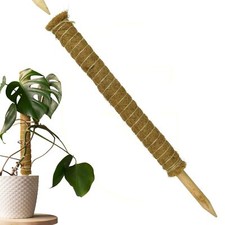 Pflanzenstütze Pflanzstab