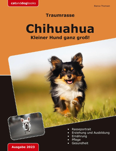 Traumrasse chihuahua - traumrasse:, |
