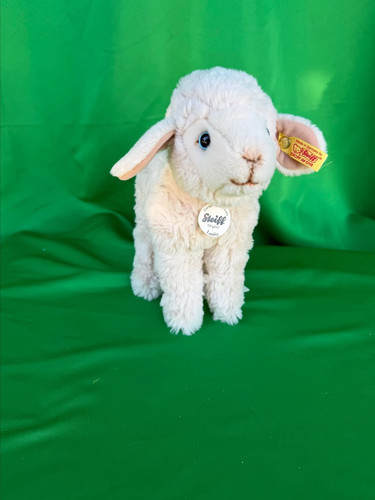 The steiff back - in, time
