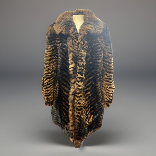 Atemberaubende echt opossum - echt,